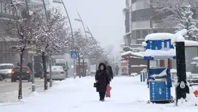 Doğu Anadolu'da Hayat Felç Eden Soğuk!
