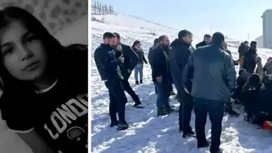 Yüksekova'da Başıboş Köpekler: Soruşturma Başladı