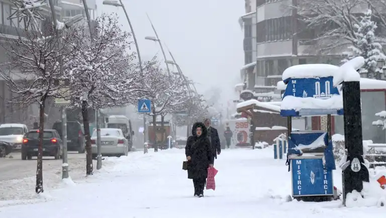 Doğu Anadolu'da Hayat Felç Eden Soğuk!
